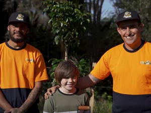 Zero Impact Tree Removal