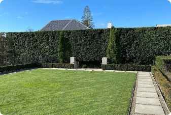 Central  hedge trimming
