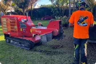 Central stump grinding