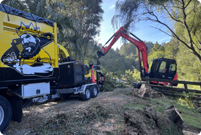 Land clearing warkworth