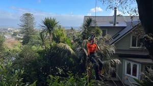 Mt eden  (2)
