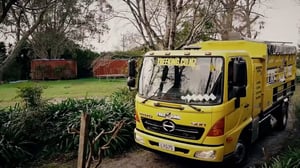 Tree_King_Hero_First_Frame_100kb