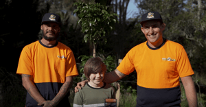 zero impact tree removal