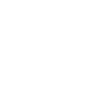 Tree King NoCowBoys