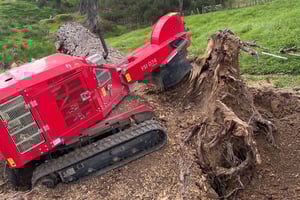 Understanding the Cost of Stump Removal in Auckland