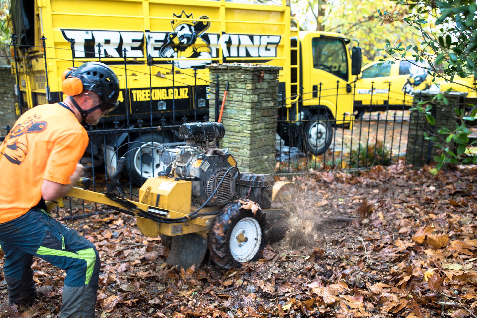 Running the stump grinding side of the business. Running the stump grinding side of the business.