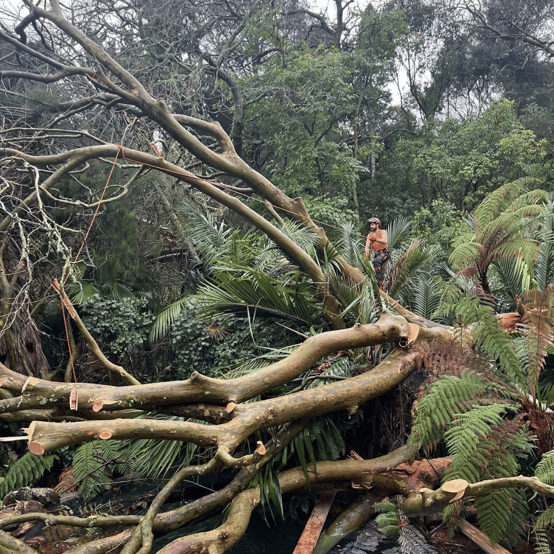 Untitled (1080 x 1080 px)