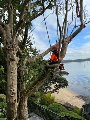 Untitled design (92)