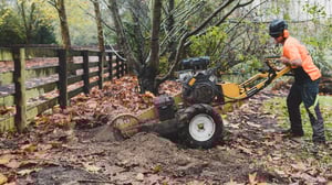 Untitled design - 2025-11-04T163614.176