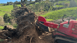 warkworth stump grinding