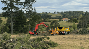 warkworth section clearing