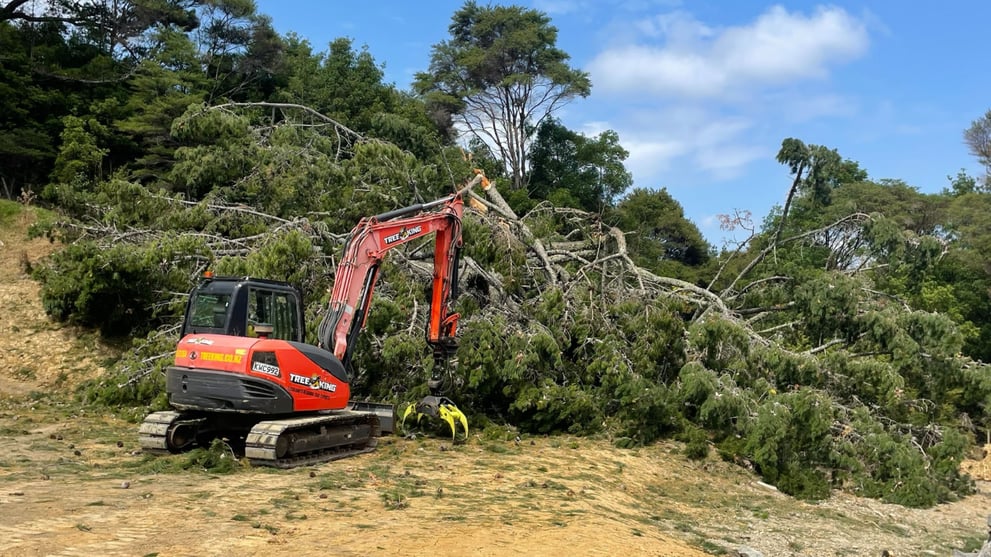 Section Clearing | Land Contractor Services & Site Solutions | Tree King