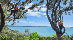 Website header (24)
