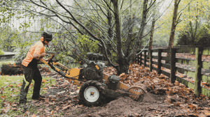 Website header (25)