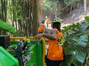 openart-image_1771968615213_bcd0a68a_1771968615474_41162e41