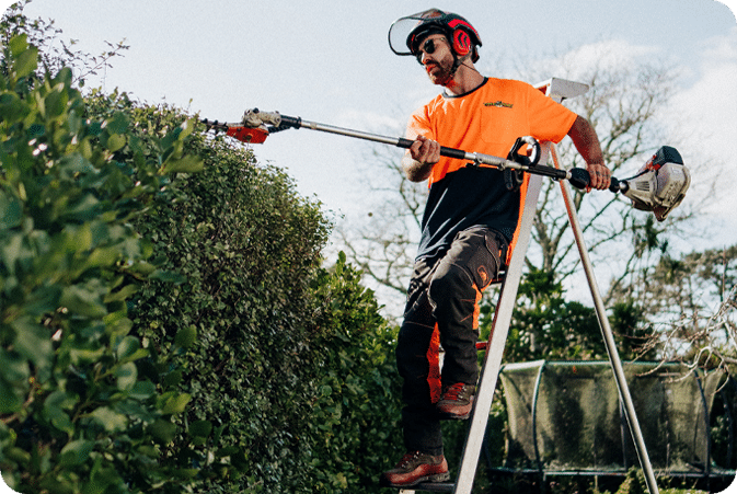 Hedge Trimming Hedge Trimming