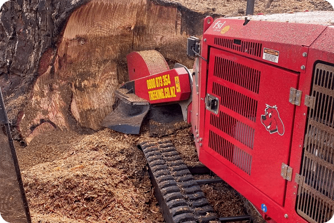 Stump Grinding Stump Grinding