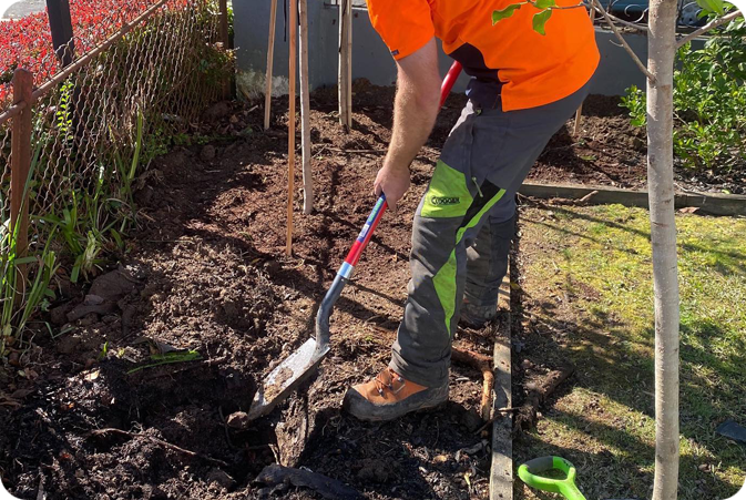 Planting