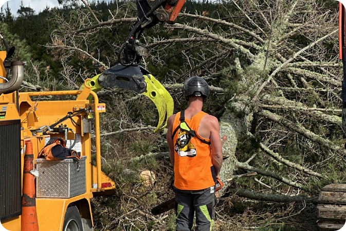 Section and Land Clearing