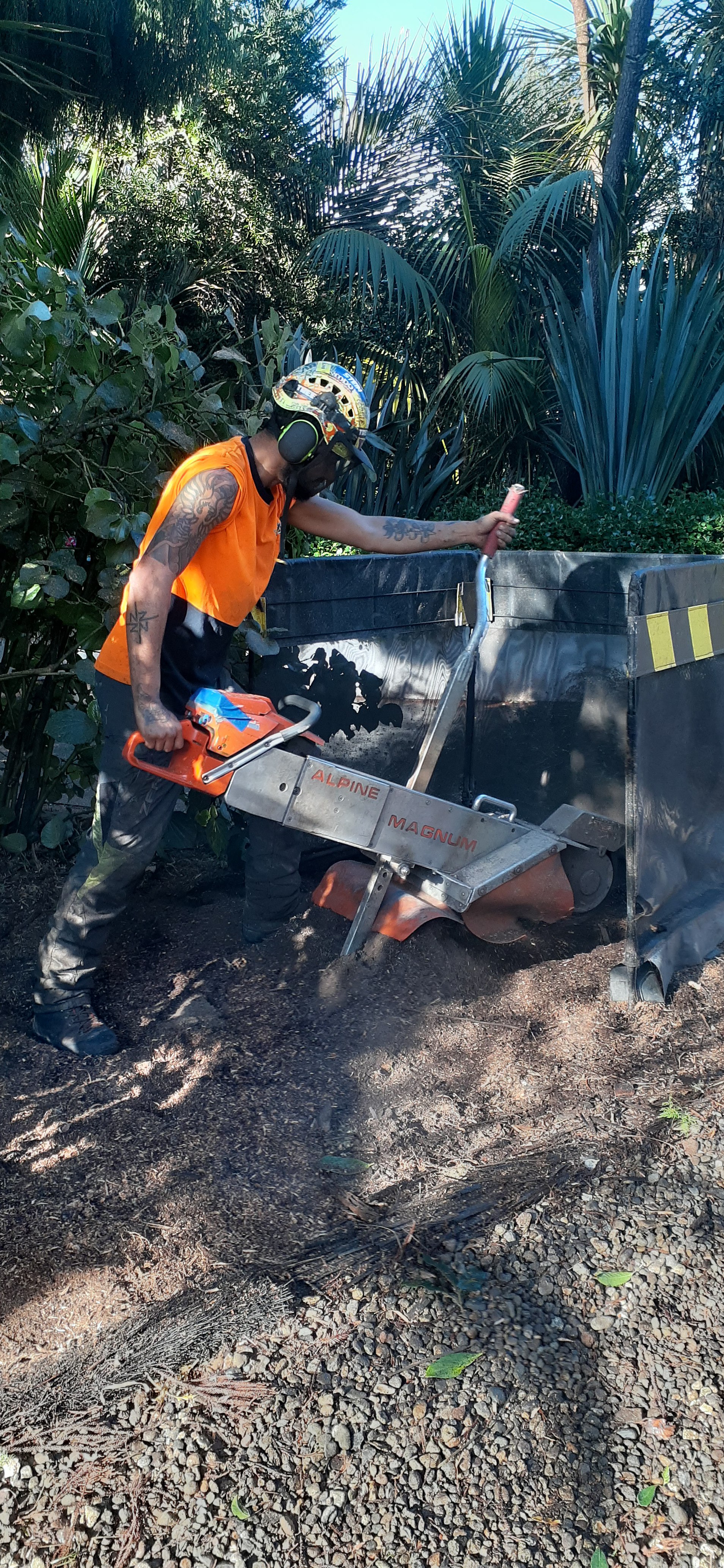 Tree Pruning Auckland