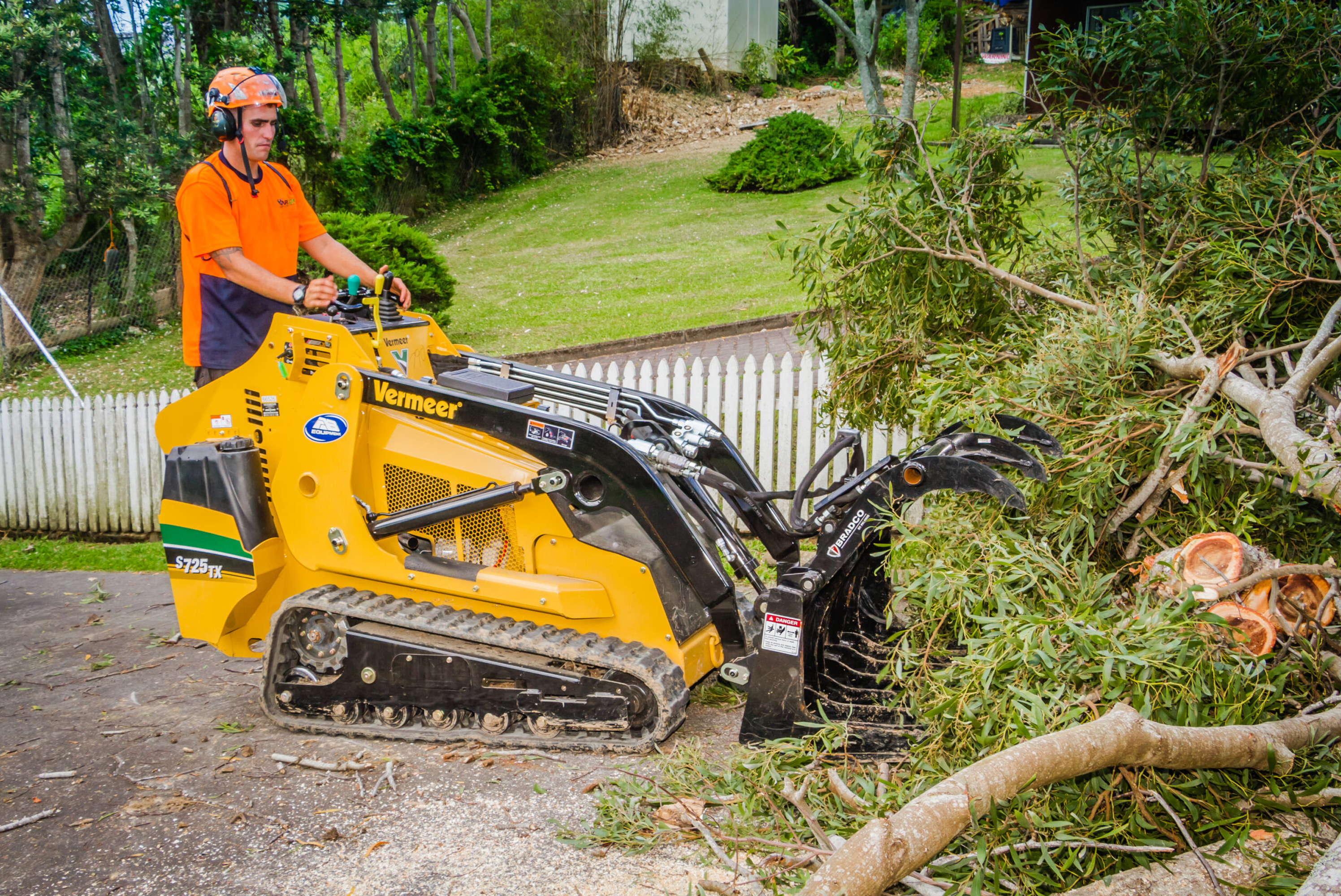 Cost-of-Tree-Removal-v3